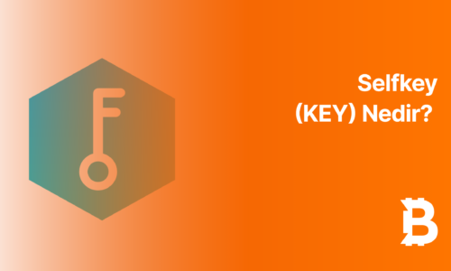 Selfkey (KEY) Nedir?