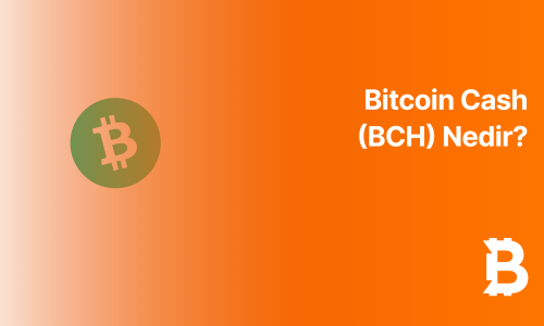 Bitcoin Cash (BCH) Nedir?